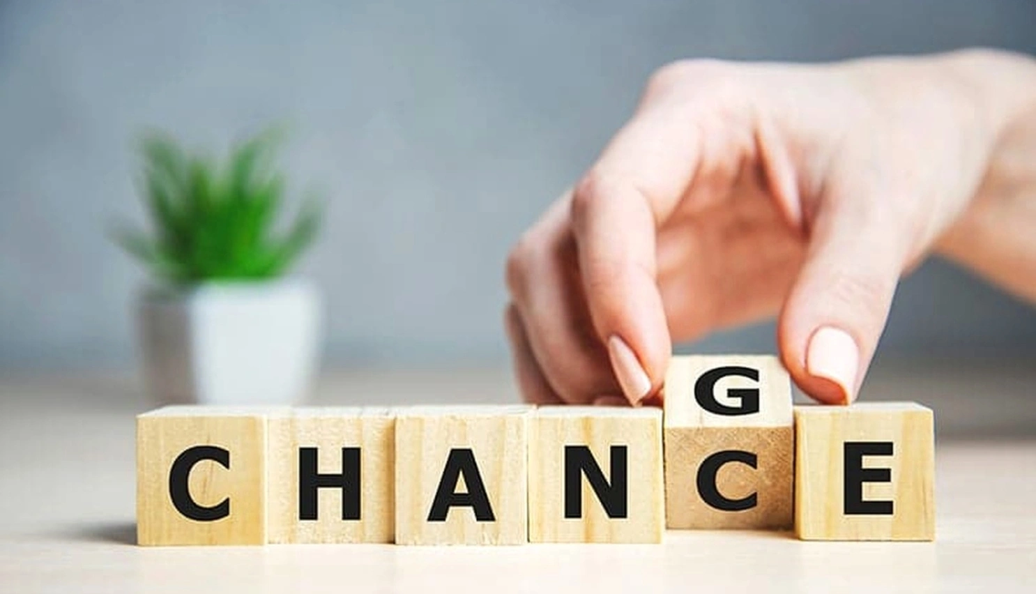 Career change consultation session