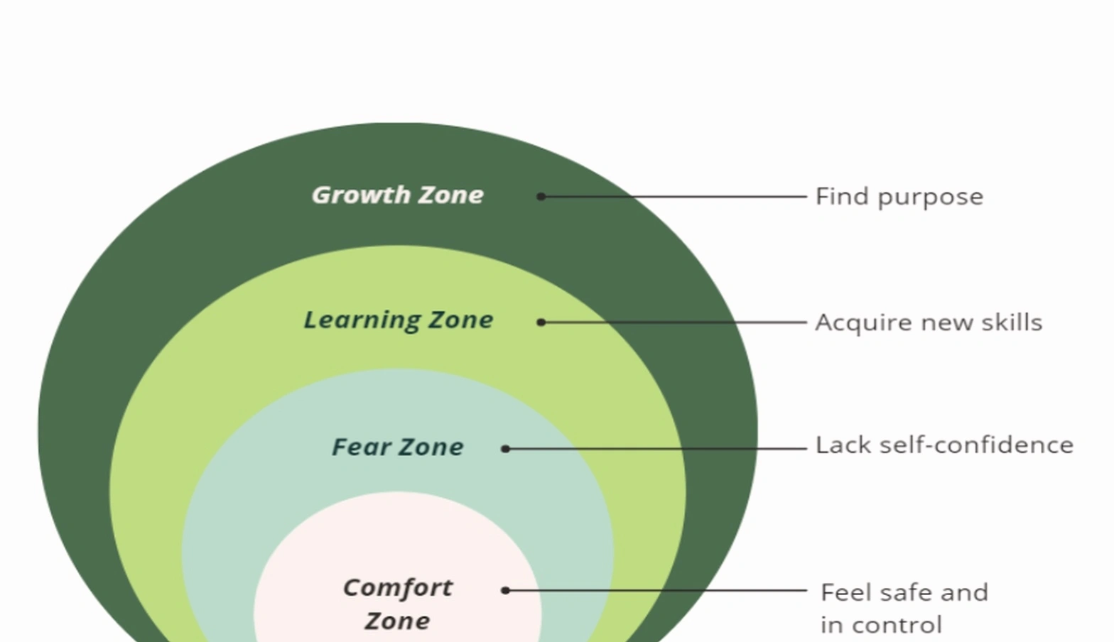 Mid-career transition coaching session